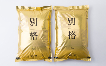 【毎月定期便】蛇紋岩ブランド 別格米 10kg(5kg×2)全3回【4071054】