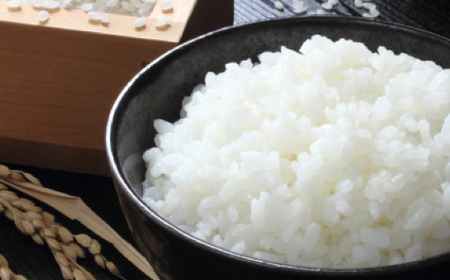 【毎月定期便】蛇紋岩ブランド 別格米 10kg(5kg×2)全3回【4071054】