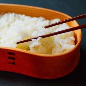 農業特区兵庫県養父市産こしひかり5kg【1666285】