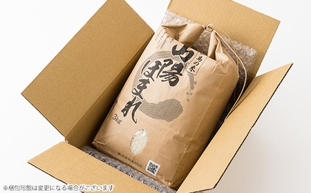 兵庫県産 但馬のお米 オリジナルブレンド米 山陽ほまれ 3kg×1【1642646】