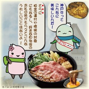神戸牛 しゃぶしゃぶ & すき焼き用 計500g YBS2 【2026年4月より順次発送】【配送不可地域:離島】【1677764】