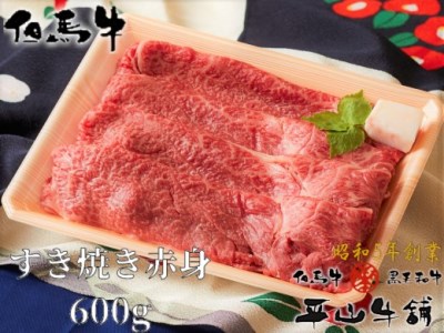 B-59 【但馬牛】すき焼き用赤身肉(もも)600g 「6,000P」