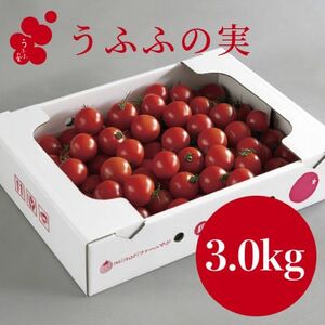【産地直送】トマト(約3.0kg) 箱 うふふの実 高糖度フルーツトマト　アイメック【常温】【配送不可地域：離島・北海道・沖縄県】【1672592】