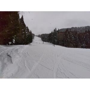 ハイパーボウル東鉢スキー場No.4★共通リフト券食事券付【大人1日券+食事券】【1694636】