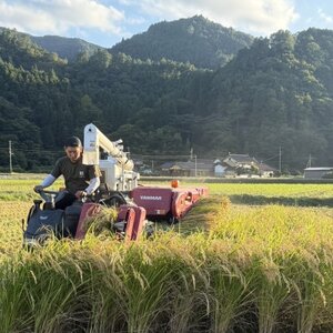 お試し!令和8年産〈先行受付〉9月より順次発送【蛇紋岩ブランド　別格米】300g(2合×1袋)【1699902】