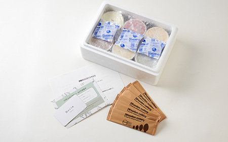 季節のジェラート6種各1個セット【配送不可地域：離島】【1311888】