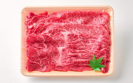 【神戸牛】しゃぶしゃぶ 赤身 & 霜降り 特選 食べ比べセット 500g【配送不可地域:離島】【1313139】