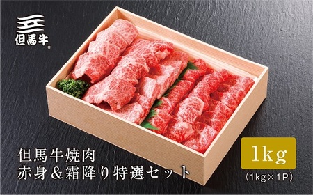 【但馬牛】 焼肉 赤身＆霜降り 特選セット1kg【配送不可地域：離島】【1313387】