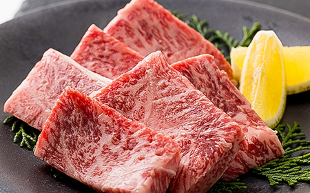 但馬牛焼肉セット 500g【配送不可地域：離島】【1339949】