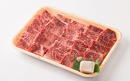 但馬牛焼肉セット 500g【配送不可地域：離島】【1339949】