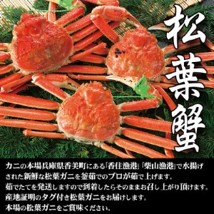 兵庫県香住産 釜茹で松葉ガニ【11月中旬以降発送】【配送不可地域:離島】【1149880】