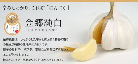 A-62 やぶひこ(金郷純白) 辛みしっかり、これぞ「にんにく」 「3000P」