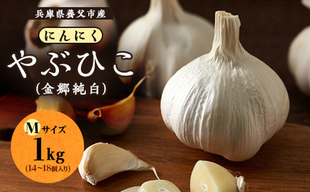 兵庫県養父市産　にんにく「やぶひこ(金郷純白)」　Mサイズ1kg【1091748】