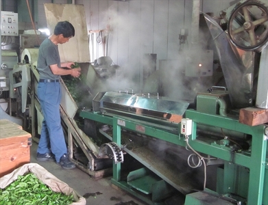 有機栽培 丹波在来茶 70g×3袋