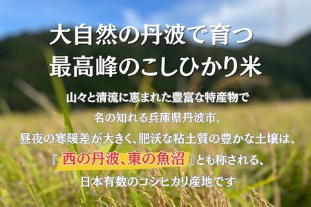有機JAS認定・荻野憲夫の丹波市産コシヒカリ4kg（2kg×2）