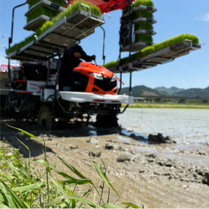 特別栽培米　丹波コシヒカリ　10㎏