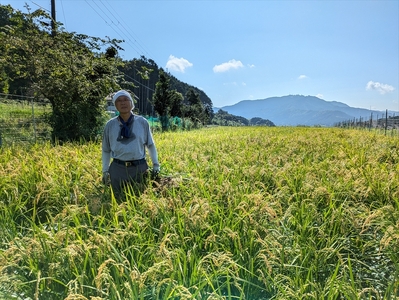 有機JAS認定・丹波市産コシヒカリ 3kg