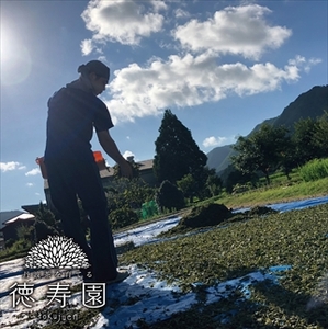 丹波・有機栽培　天日干し赤ちゃん番茶テトラ（2g×50個入り）3袋