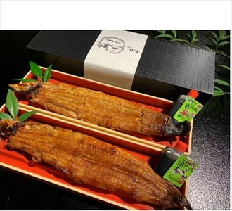 うなぎ辻判　国産鰻炭火蒲焼き　２尾