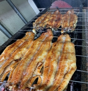 うなぎ辻判　国産鰻炭火蒲焼き　3尾