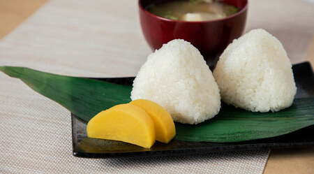 【６ヶ月定期便 】丹波コシヒカリ  (10kg × 6袋)