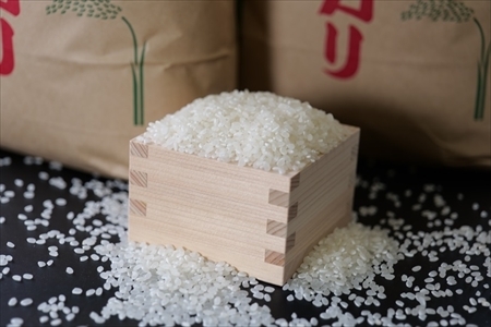 特別栽培米 白米 5kg x 2袋