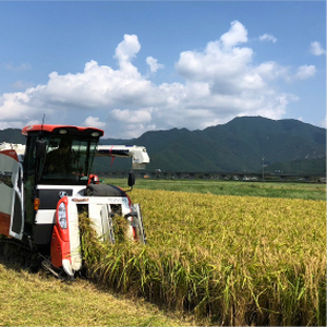 特別栽培米 丹波コシヒカリ 5kg