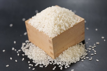 特別栽培米　丹波コシヒカリ　(真空)5kg