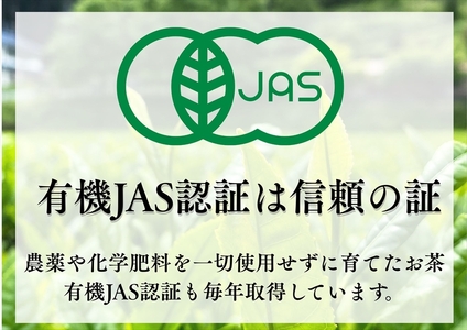 丹波・有機栽培　天日干し赤ちゃん番茶ティーバッグ大 （6g×25個入り）×4袋
