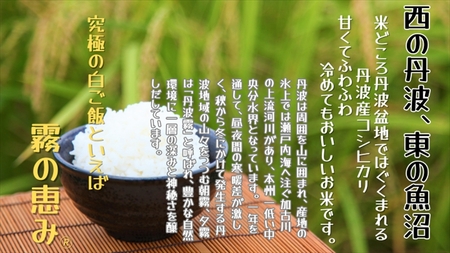 丹波産コシヒカリ 霧の恵み® 5ｋｇ×5ヶ月