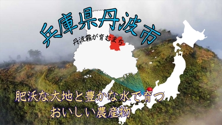 丹波産コシヒカリ 霧の恵み® 5ｋｇ×5ヶ月