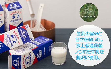 ひかみ牛乳とこだわり卵でつくったカタシマプリン 6個入