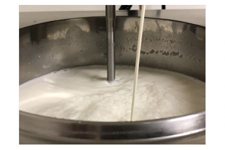 牧場まるごとみるく 丹波みるくアイス 12個セット