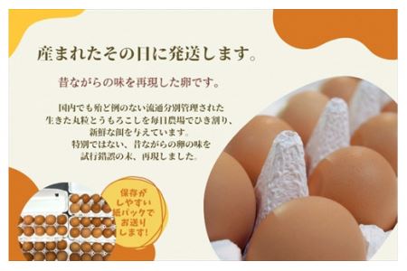 【６ヶ月定期便】丹波奥郷の卵　やまぶき　４５個+５個破卵補償　(約3㎏）