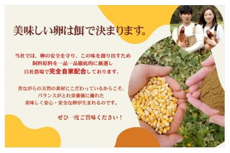 【１２ヶ月定期便】丹波奥郷の卵　やまぶき　４５個+５個破卵補償　(約3㎏）