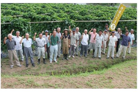 丹波なた豆茶　Small Pack 2袋 ＆Large Pack ＆ Premium Pack