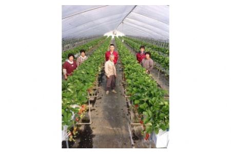 あぐり丹波3Dイチゴ園　イチゴ狩り体験(2名様)　お土産付