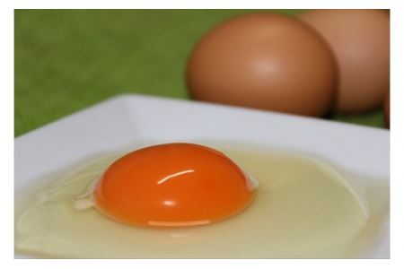 「村上さん家のせせらぎ卵」45個＋5個破卵補償　(計50個）