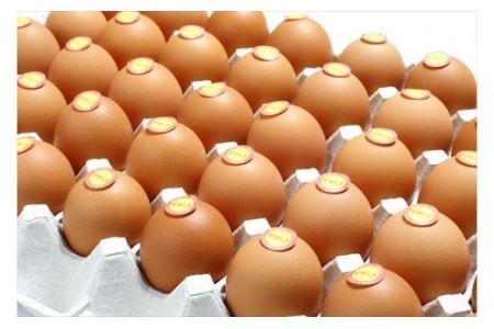 「村上さん家のせせらぎ卵」45個＋5個破卵補償　(計50個）