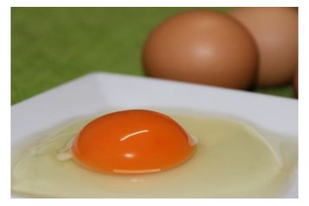 【12ヶ月定期便】「村上さん家のせせらぎ卵」45個＋5個破卵補償　(計50個）