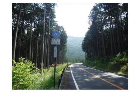 匂辛夷(においこぶし)エッセンシャルオイル