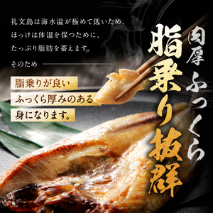 北海道礼文島香深産 開きホッケ(2枚入)×5 魚貝類 干物 加工食品