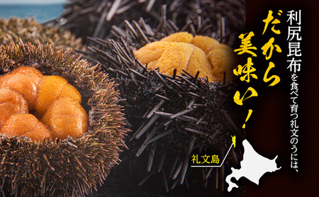 特選最高級稚内産木折ムラサキウニ1枚120g×3枚合計360g入り