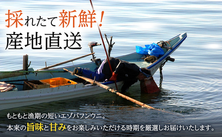 【先行予約】 北海道 礼文島産 採れたて バフンウニ  塩水パック 100g×3  生うに 生ウニ  塩水うに