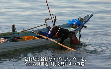 【先行予約】 北海道 礼文島産 採れたて キタムラサキウニ 塩水パック 100g×1 生うに 生ウニ  塩水うに