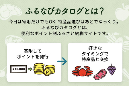 【有効期限なし！後からゆっくり特産品を選べる】北海道礼文町カタログポイント