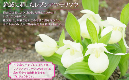 【礼文島リボンプロジェクト】北海道礼文島産　天然切りだし昆布200g×4 自然保護 環境保全 天然利尻昆布 利尻昆布 出汁用昆布 食材 和食 汁物 煮物 