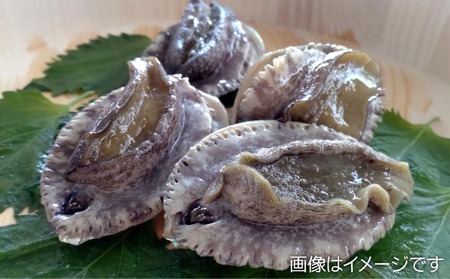 【中尾満男水産】【淡路島産】養殖”活”エゾアワビ4個 約300g (1個約8cm 70～80g)