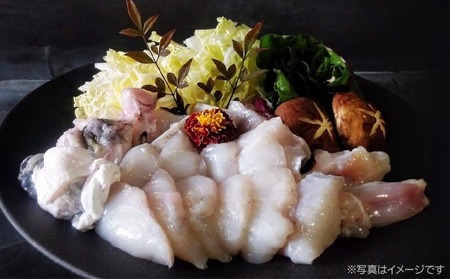 熟成てっちりセット&てっさ(ニ人前)