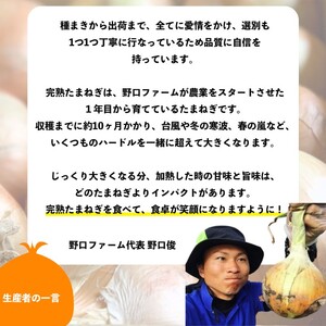 【3回定期便】mama-yasai たまねぎ５kg